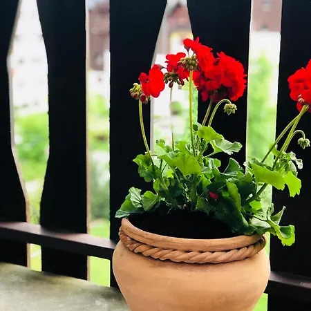 Mont Blanc 43, Vue Mont Blanc , Balcon, Parking Chamonix