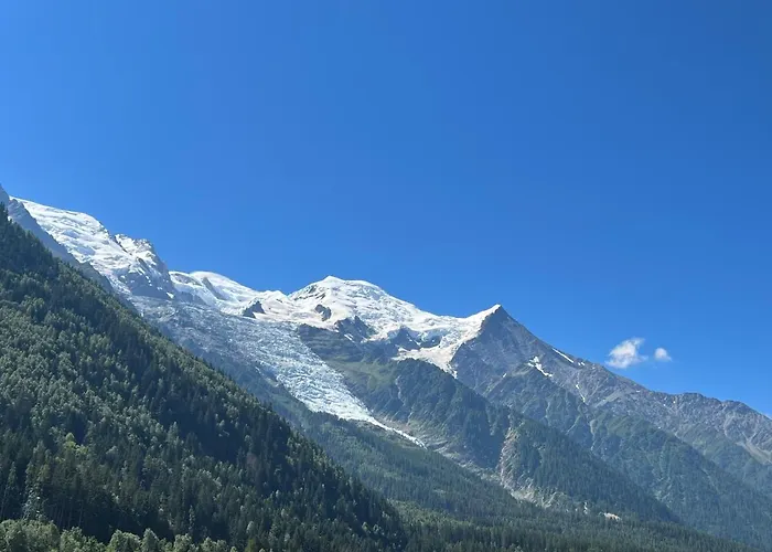 Апартаменты Mont Blanc 43, Vue Mont Blanc , Balcon, Parking Шамони